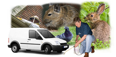 Letchworth local van